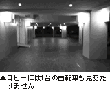 （写真）