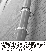 （写真）