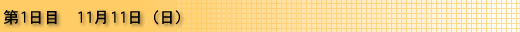 11月11日